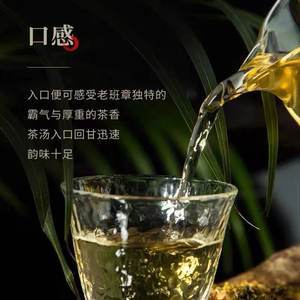 陈升号古树茶的品质与特色 一段自然的味觉体验
