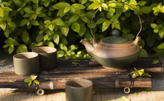 懂茶的人卖不好茶 古树茶市场的深层思考